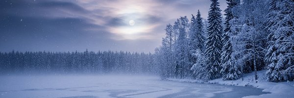 Zima, Drzewa, Jezioro, Księżyc, Mgła