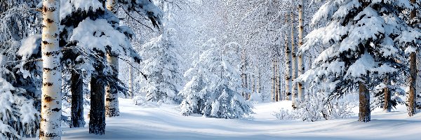 Drzewa, Grafika AI, Las, Zima