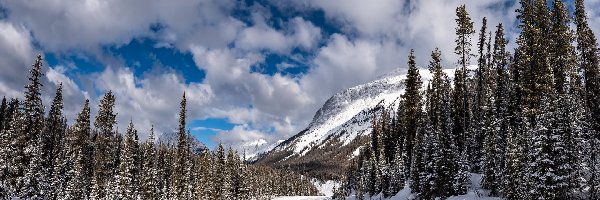 Śnieg, Droga, Góry, Drzewa, Las, Zima