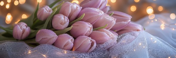 Tulipany, Tiul, Światełka, Różowe