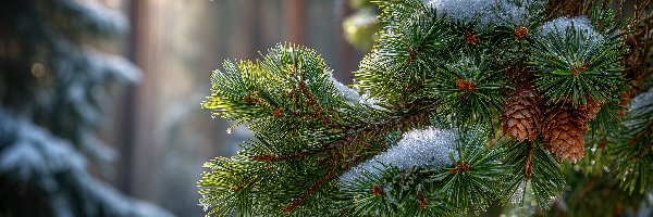 Zima, Śnieg, Szyszki, Grafika AI, Świerk, Gałąź