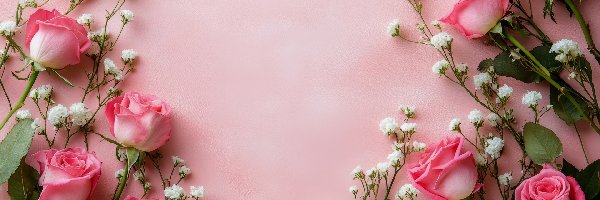 Kwiaty, Róże, Różowe, Gipsówka, Biała