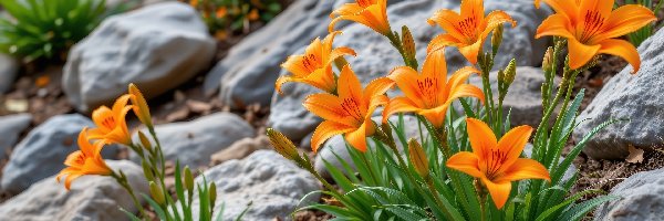 Kwiaty, Lilie, Pomarańczowe, Grafika AI, Kamienie