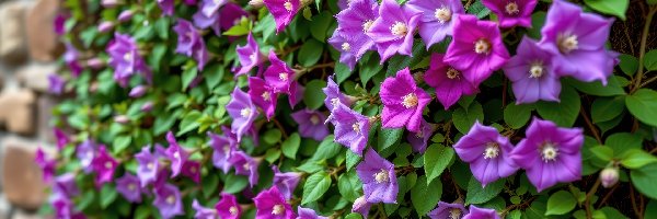 Fioletowe, Liście, Kwiaty, Grafika AI, Mur