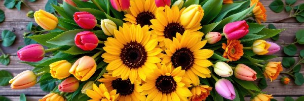 Słoneczniki, Tulipany, Bukiet kwiatów