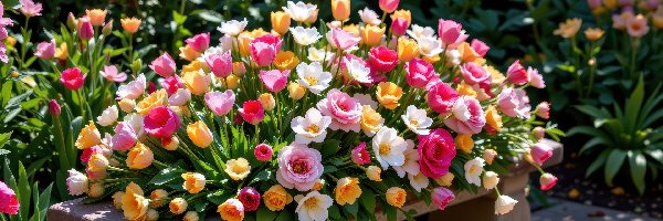 Kwiaty, Ławka, Kamienna, Kolorowe