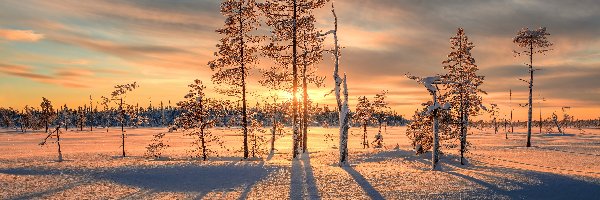 Zima, Zachód słońca, Drzewa, Śnieg