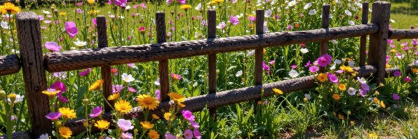 Łąka, Kwiaty, Trawa, Ogrodzenie