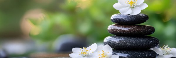 Kamienie, Kwiaty, Białe, Ciemne