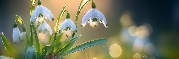 Białe, Grafika AI, Kwiaty, Przebiśniegi