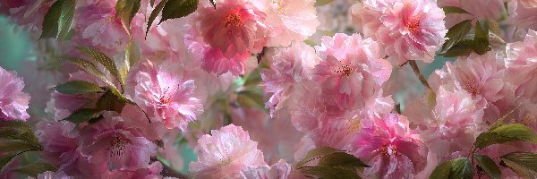 Kwiaty, Grafika AI, Wiśnia japońska, Różowe