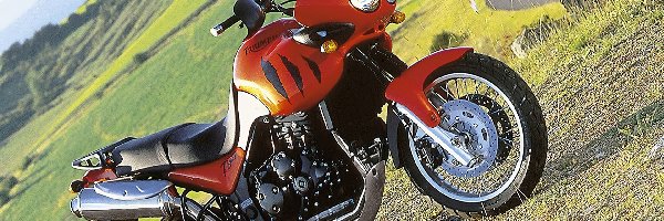 Triumph Tiger 955i