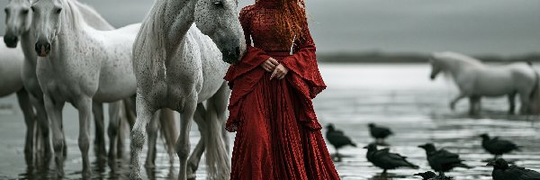 Kruki, Suknia, Ptaki, Czerwona, Kobieta, Konie, Woda