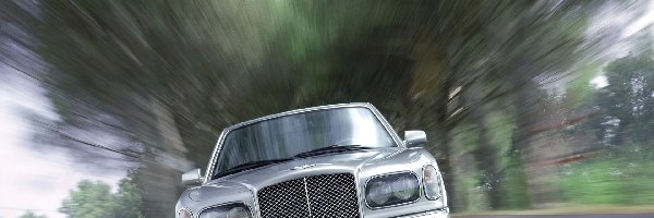 Maska, Bentley Arnage, Przód