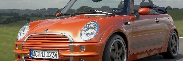 Mini Cabrio, Pomarańczowe