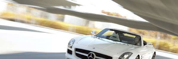 Mercedes-Benz SLS Roadster AMG