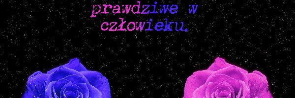 Dwie, Róże, Kolorowe, Miłosne, Przesłanie