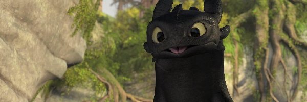 How to Train Your Dragon, Nocna Furia, Smok, Jak wytresować smoka