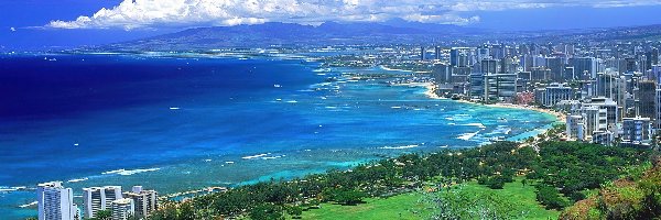 Hawaje, Roślinność, Zielona, Spokojny, Ocean