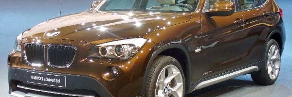 sDrive, BMW X1