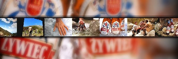 Piwo Żywiec, Piwo
