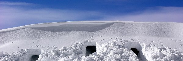 Śnieg, Schronienie