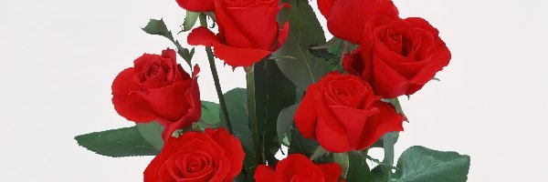 Róż, Czerwonych, Bukiecik