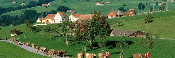 Szwajcaria