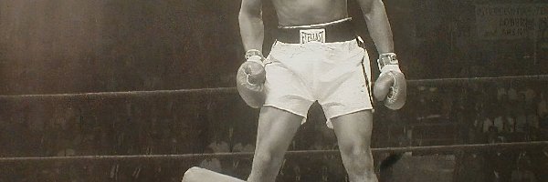 Muhammad Ali, Boks