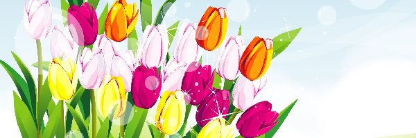Grafika 2D, Tulipany, Kolorowe