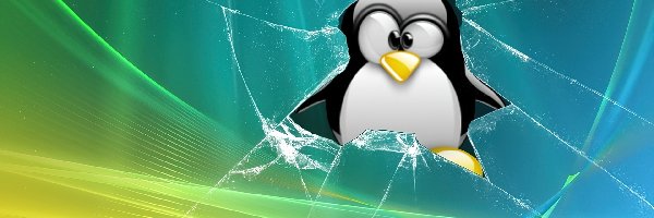 Pingwin, rozbicie Tła na Facebooka, Vista, Linux
