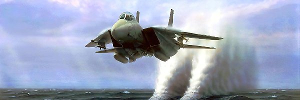 F-14, Fala, Tomcat, Grumman