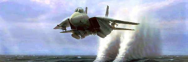 F-14, Fala, Tomcat, Grumman