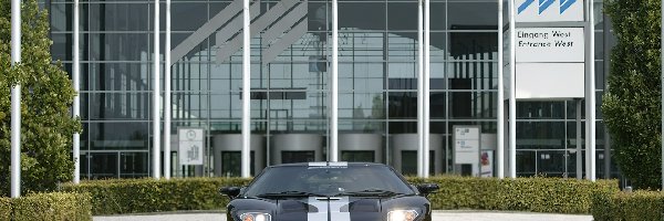 Ford GT, Pasy, Srebrne, Czarny