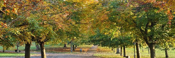 Jesień, Kolorowe, Park, Ławki, Drzewa