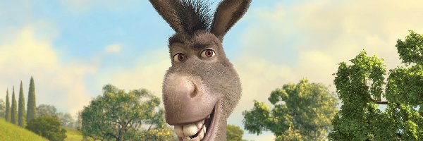 Osioł, Shrek