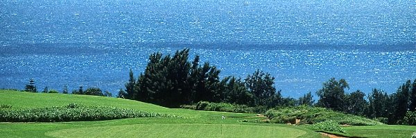 pole golfowe, Sportowe Golf