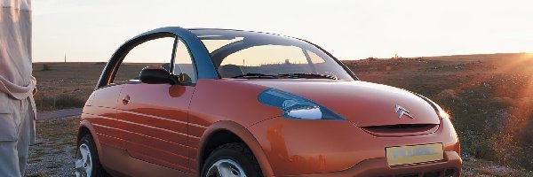 Citroen C3 Pluriel, Pomarańczowy