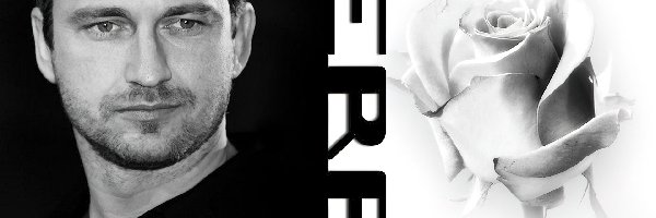róża, Gerard Butler