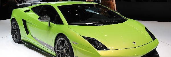 Hostessa, Lamborghini Gallardo