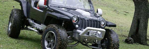 Prototyp, Jeep