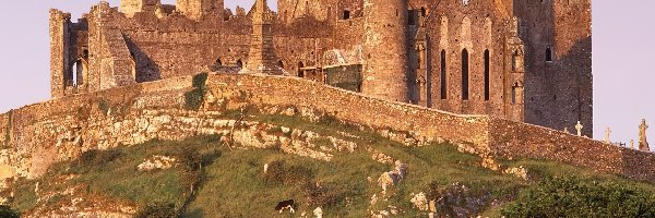 Zamek, Irlandia
