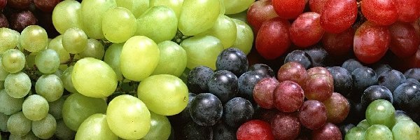 Winogron, Odmiany, Różne