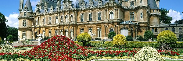Buckingham, Pałac, Anglia