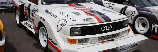 Audi Quattro, Wersja, Rajdowa