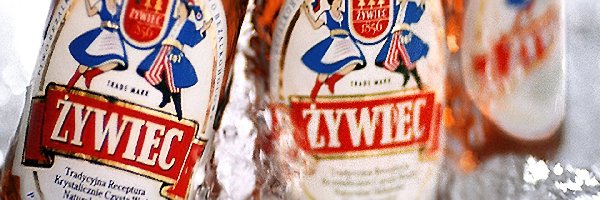 butelki, Piwo Żywiec, Piwo
