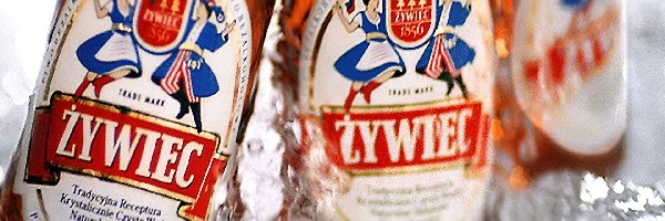 butelki, Piwo Żywiec, Piwo