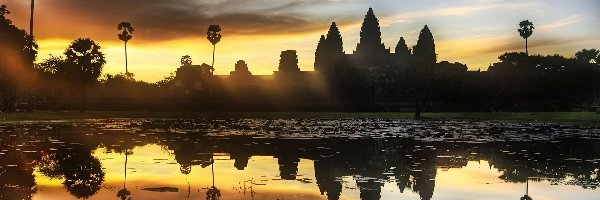 Angkor, Kambodża
, Dżungla, Świątynie