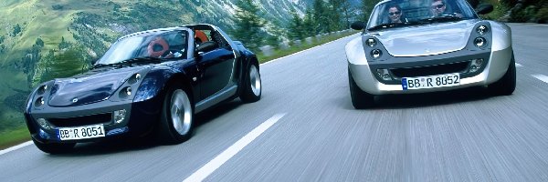 Czarny i Srebrny, Smart Roadster