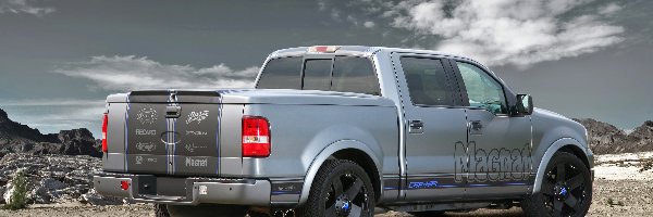 Ford F 150, Srebrny